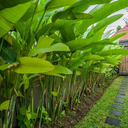 Villa Eleven Ubud  Bagian luar foto